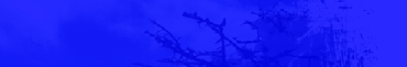 ppd4f13fb6.png